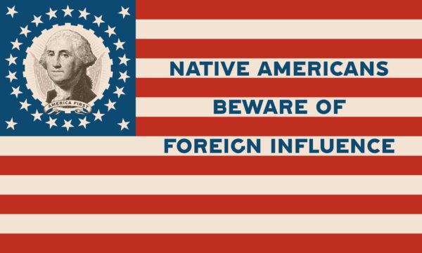 Nativist Flag - Image 2
